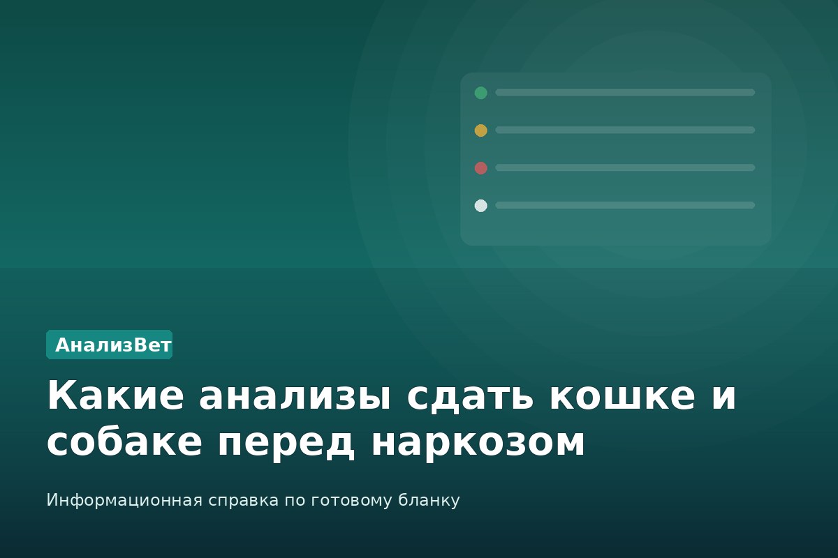 Инфографика АнализВет: Какие анализы сдать кошке и собаке перед наркозом